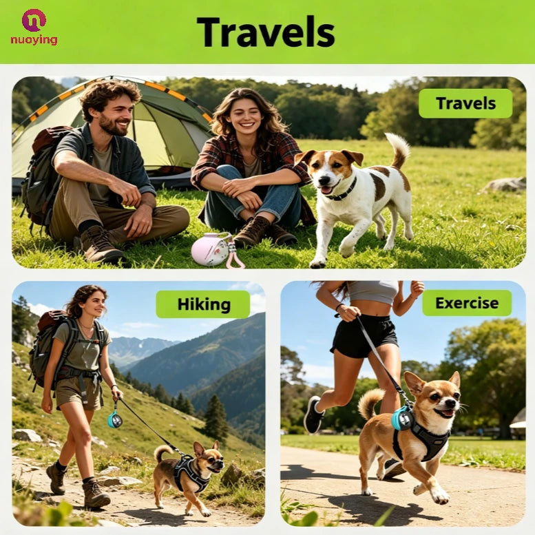 Leak-Proof 2-in-1 Dog Travel Water Bottle, Compact Portable Water Dispenser for Small Dogs, Stainless Steel Bottle With Silicone Nozzle